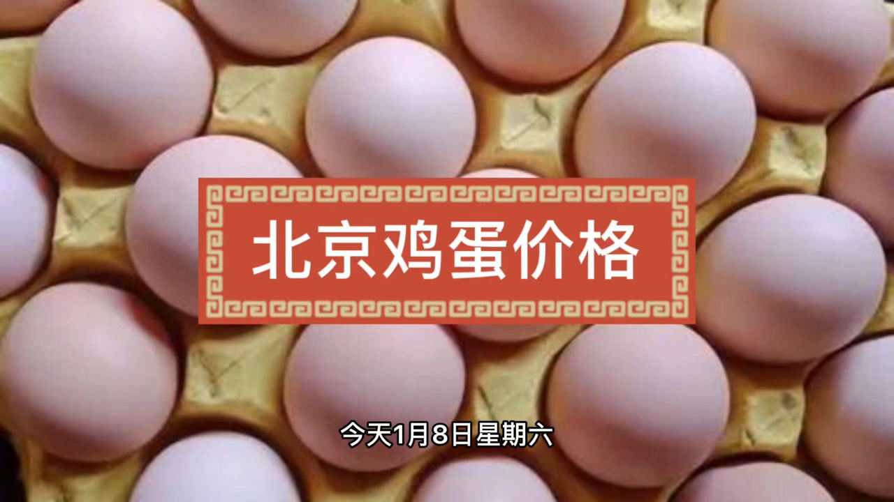 北京今日鸡蛋最新价格发布📣🥚你了解吗？