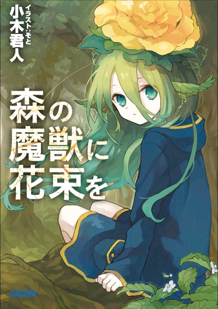 Wolui最新小说，科技与情感交织之美