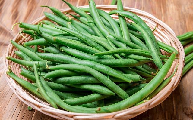 豆角价格最新行情，智能监控洞悉市场脉动