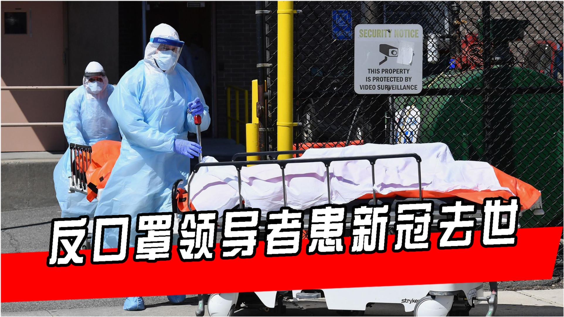 美国最新疫情更新，最新动态与消息