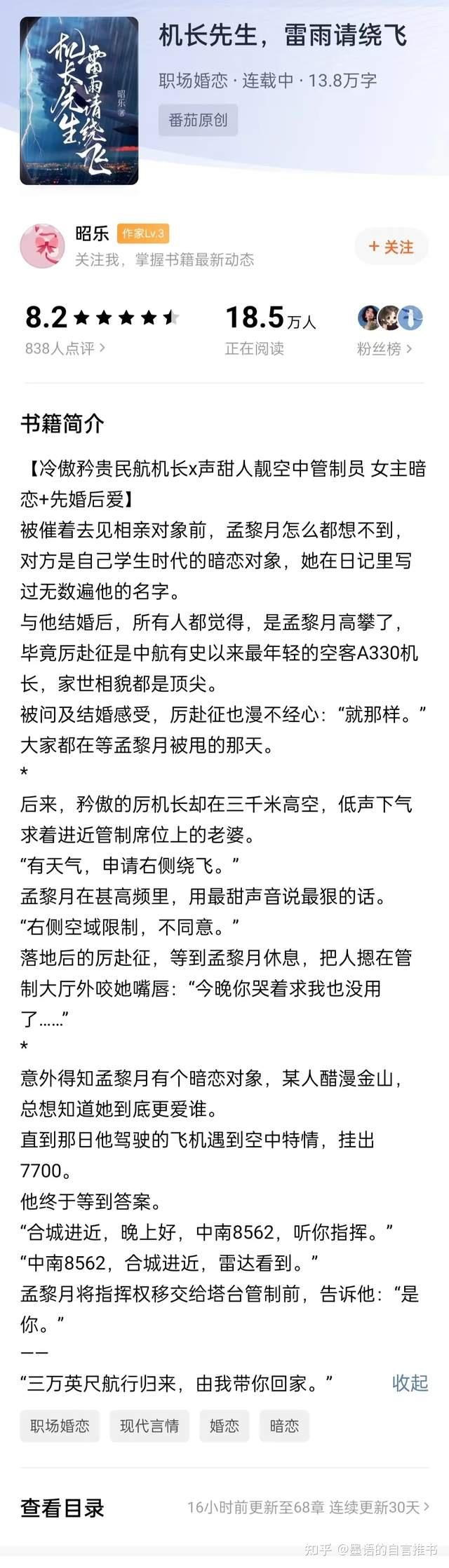 翱翔天际的守护者，最新空管小说连载